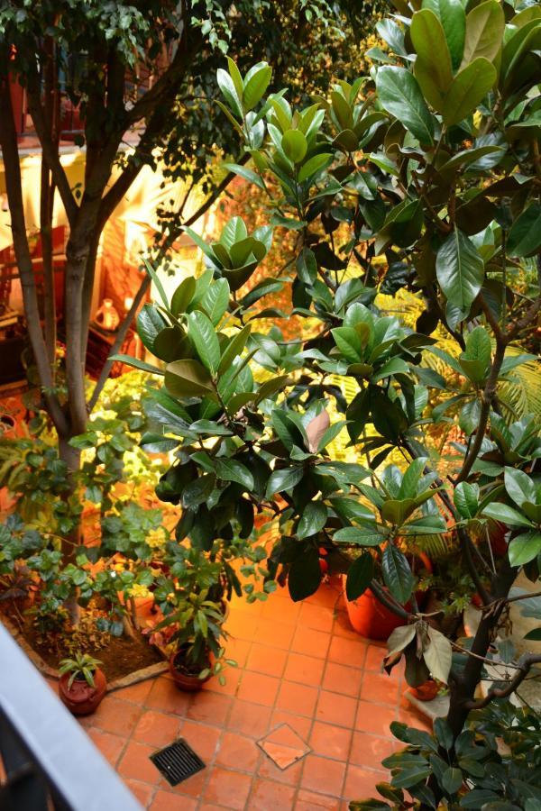 Hotel Casa Guiva 오아하카주 외부 사진