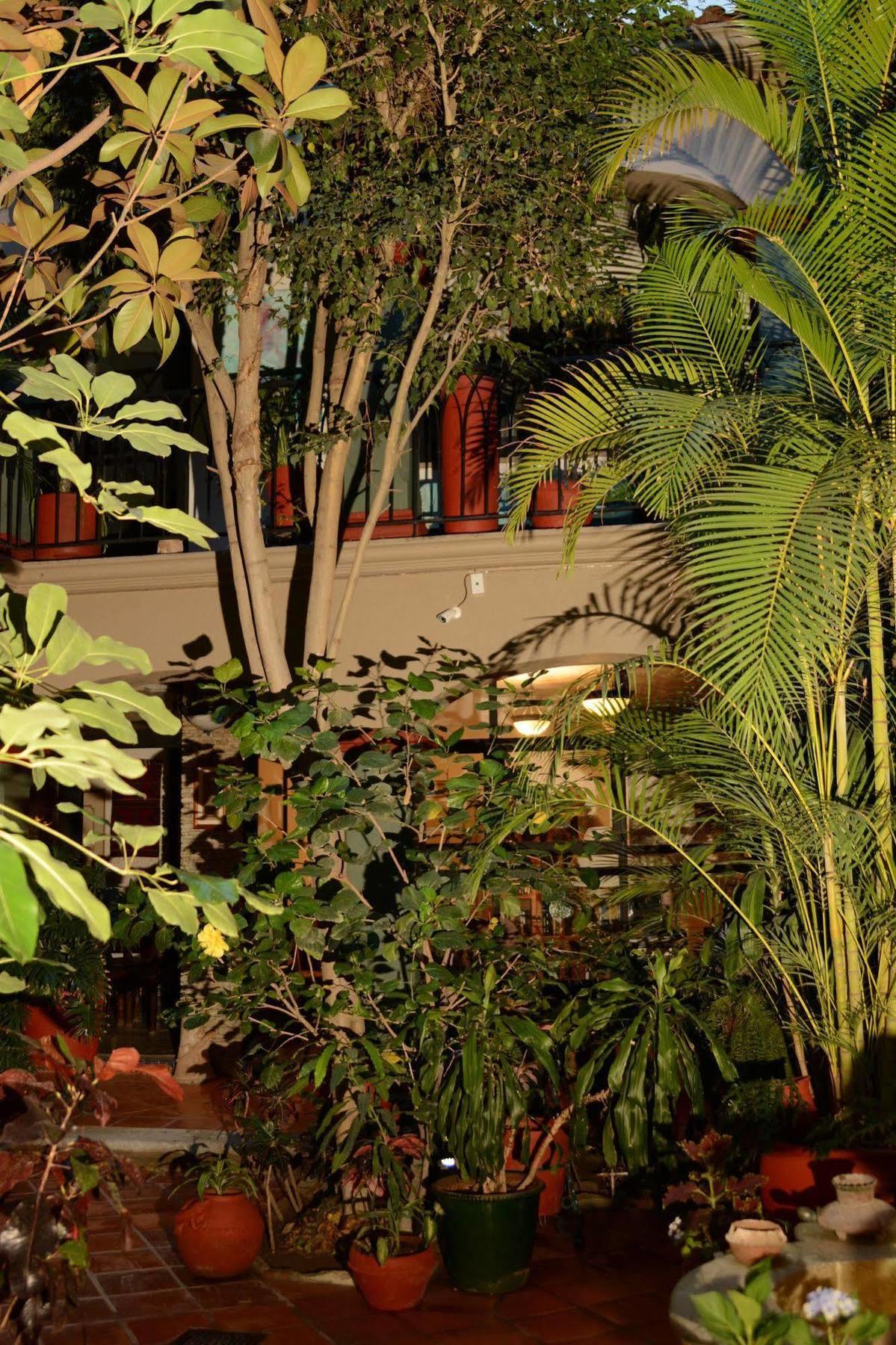 Hotel Casa Guiva 오아하카주 외부 사진